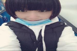 摸鱼儿主要用的手法