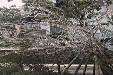 荆州天气预报40天查询结果