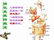 人体常量元素口诀